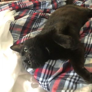 Meet your Posher, Mason